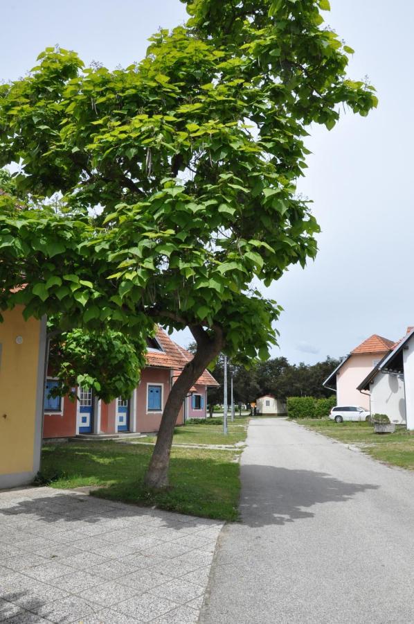Apartma Julija Hiska 59 Catez ob Savi Dış mekan fotoğraf